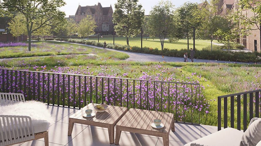 Leanderhof nieuw beeld bloemen terras