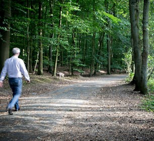 CAAAP NOAH Halle natuur