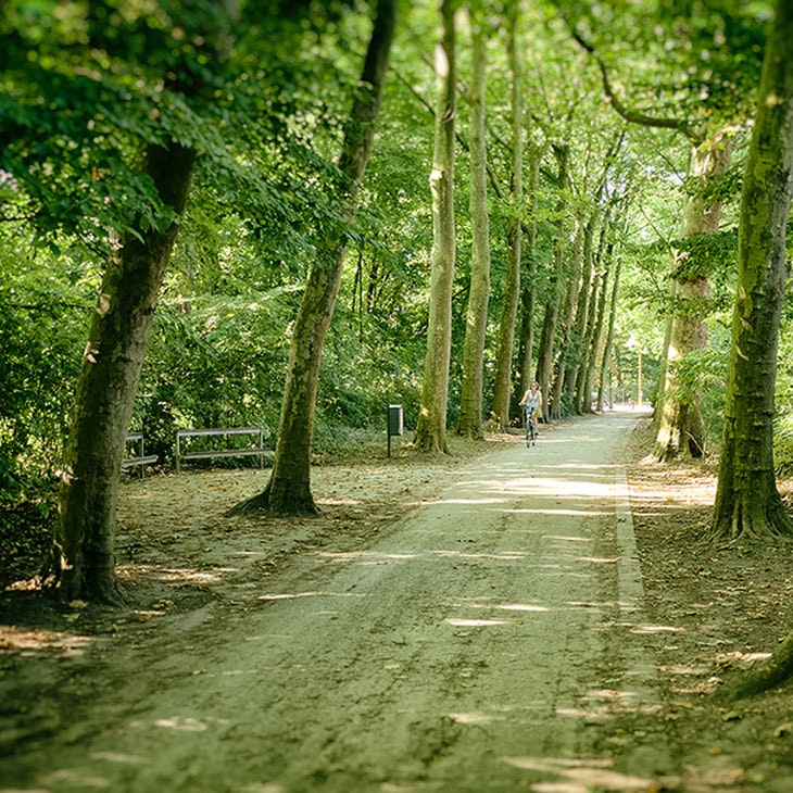 Handbogenhof Vesten Caaap